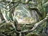 Alan Lee - The Hobbit - 08 - Farewell on the edge of Mirkwood